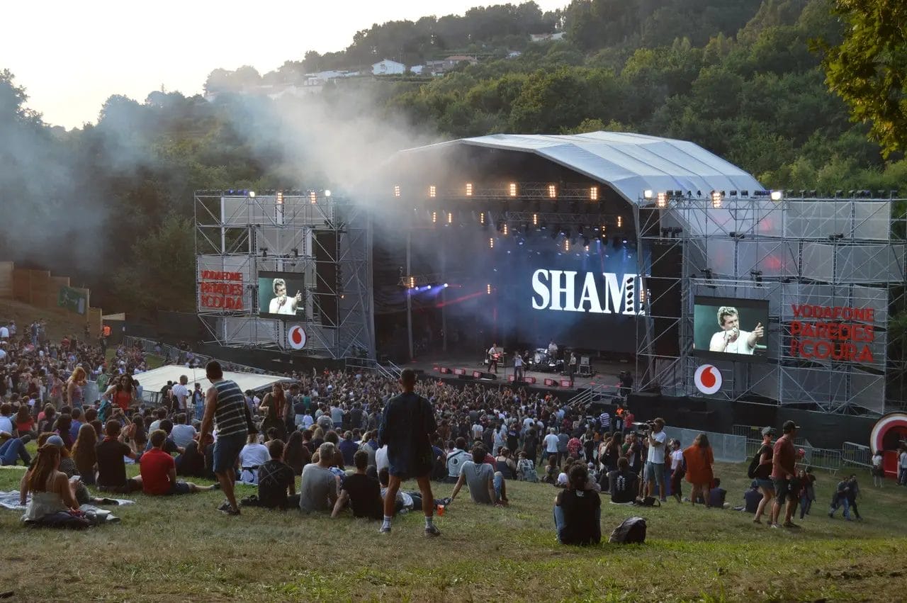 People attending a concert